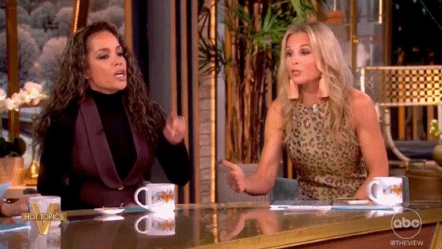 Elisabeth Hasselbeck challenges 'The View' on border security, sparks heated immigration debate
