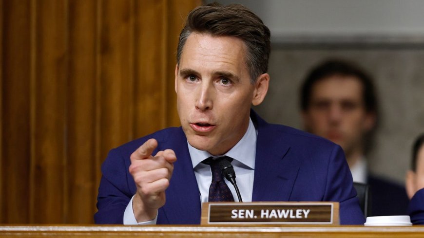 Hawley launches Google investigation after 'shocking' child trafficking testimony at Senate hearing