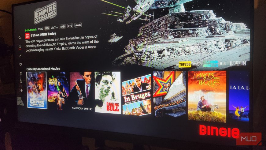 How to make Kodi look exactly like Netflix