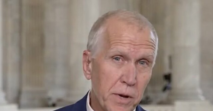 Tillis: Trump Gave Noem a 'Vote of No Confidence' on Minneapolis