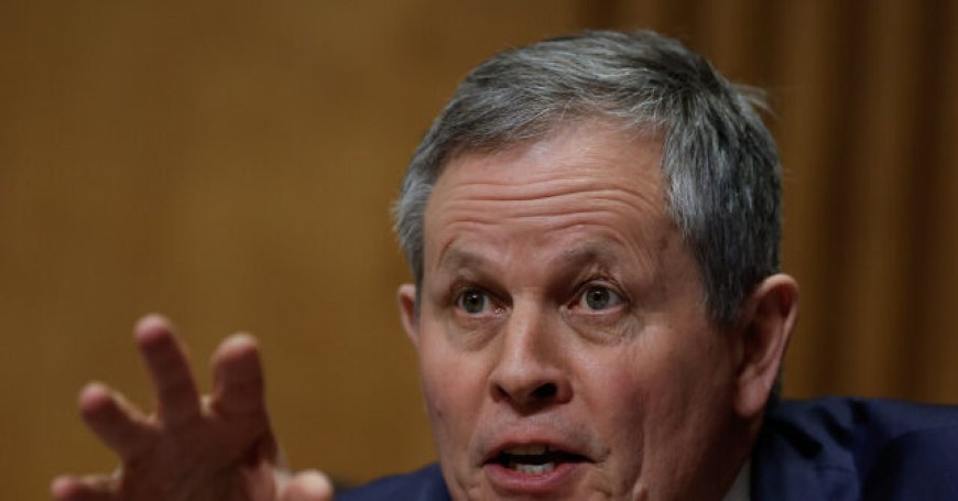 GOP Sen. Steve Daines Not Seeking Reelection: 'Thankful to Have Served Alongside' Trump