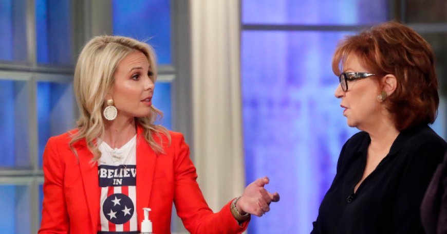 Elisabeth Hasselbeck Calls Out ‘The View's’ Open Borders Hypocrisy: ‘How Many People in the Audience Had to Go Through Security to Get Here’
