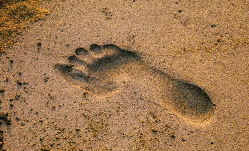 A Couple of Dog Walkers Discovered Human Footprints in the Sand, But They Vanished Within 48 Hours Before They Could Be Fully Studied