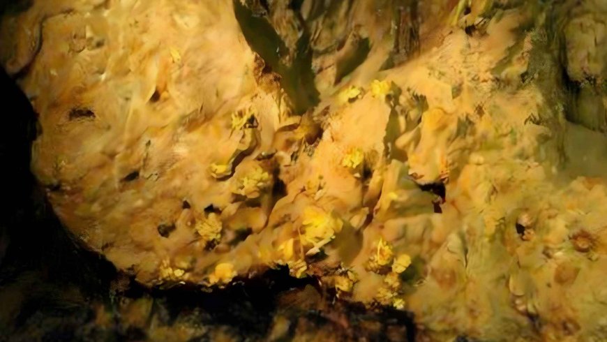 A hidden deposit 2,000 meters underground could contain one of the largest gold reserves on the planet