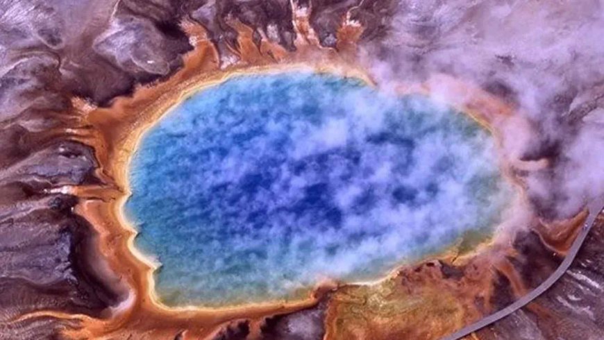 It was not a Norse god, it was much more: scientists attribute the origin of all complex life to a microscopic marine creature with a mythological name