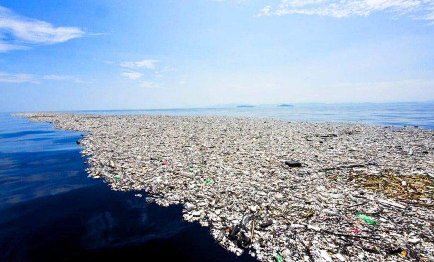 Once Earth’s Filthiest Waters, the Great Pacific Garbage Patch Is Now Home to a Strange Marine Life