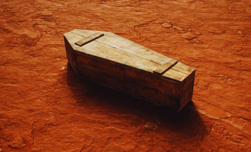 Scientists Studied a Coffin That Fell from the Sky, What They Discovered Inside Is Perfectly Preserved