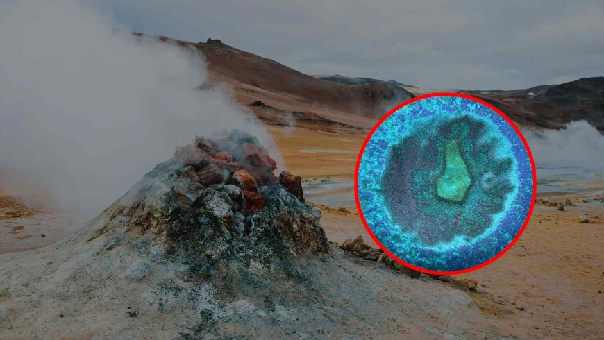 Researchers went to Lasson Park in California to take water samples — They didn’t imagine discovering a “fire” single-celled organism living at extreme temperatures
