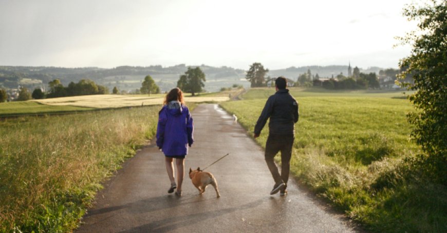 Family Dog on Morning Walk Leads Its Owner to Unconscious Woman, Saving Her from Certain Death