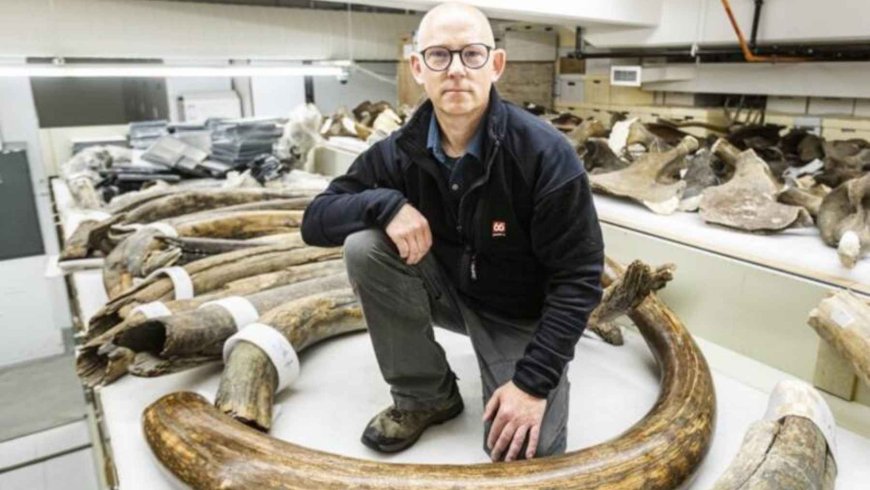 For 70 years, they believed they were mammoth bones… until they discovered they belonged to whales from 1,800 years ago