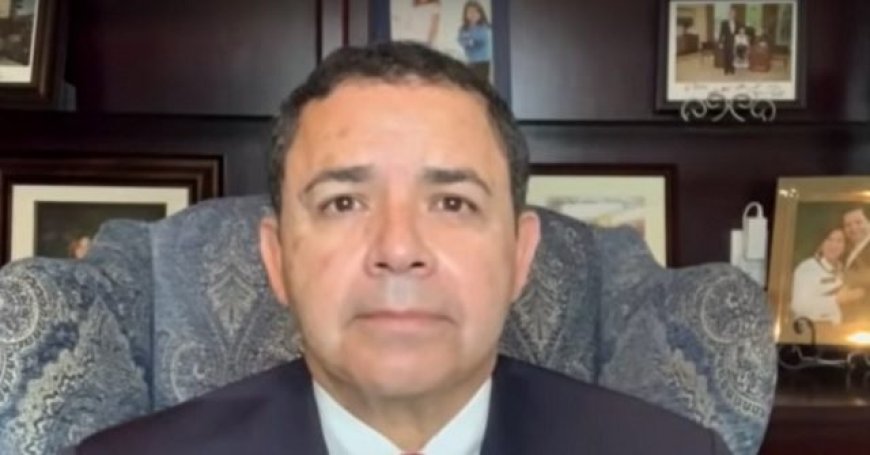 Cuellar: I Want Talarico 'to Change' on Border, He's Wrong
