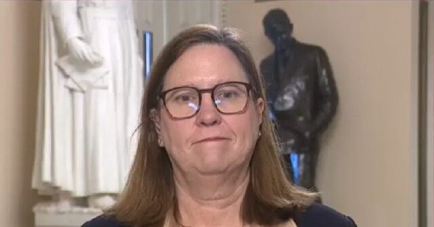 Dem Rep. Julie Johnson on Funding DHS: Need 'Whole-Scale Revamping' of DHS's Mission