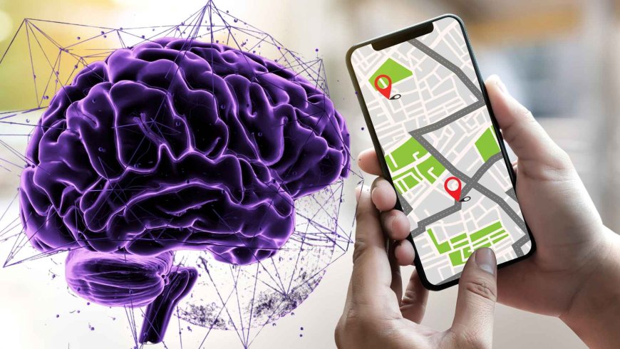 By studying the human brain, they discover the switch that activates its “navigation system”