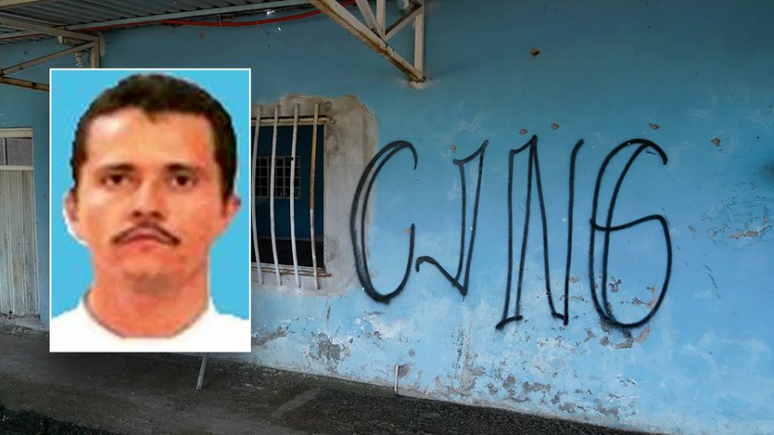 Air Force veteran warns 'cartels don’t collapse — they fracture' after notorious drug lord killed