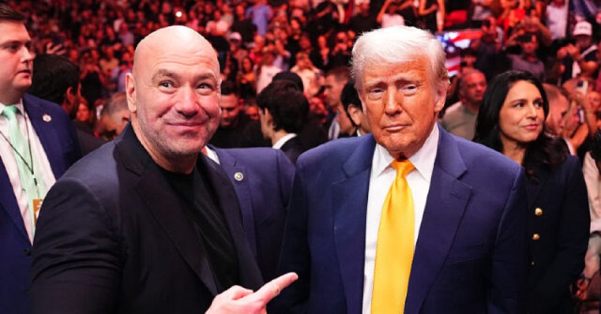 UFC Announces 'Freedom 250' Card for Big White House Event