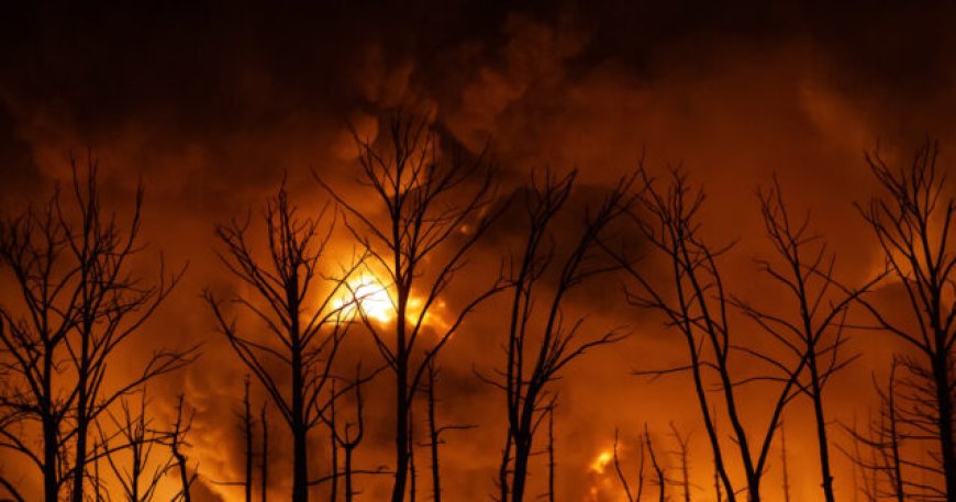 Oil Prices Jump Above $100 a Barrel for First Time in Four Years