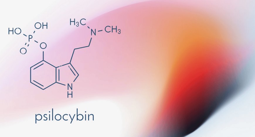 Psilocybin Increases Cellular Lifespan and Boosts Survival in Aged Mice
