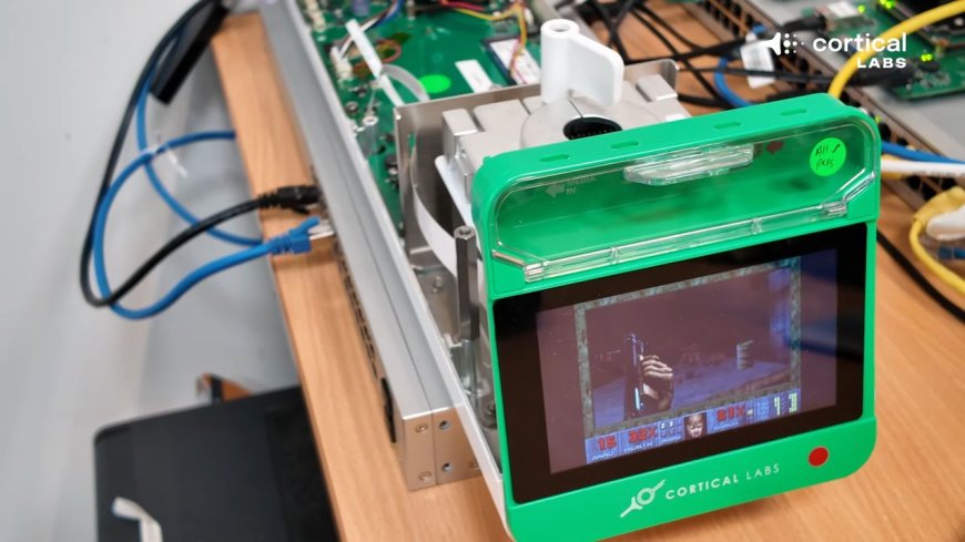 Can it play Doom? This biocomputer built on human brain cells just learned to shoot demons, but not everyone's convinced