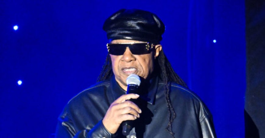 Video: Stevie Wonder Lectures White People to 'Overcome the Mindset of White Supremacy'