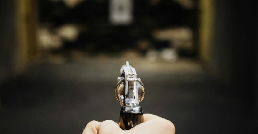 Homeowner Awakes to Noises, Shoots Alleged Intruder in Head