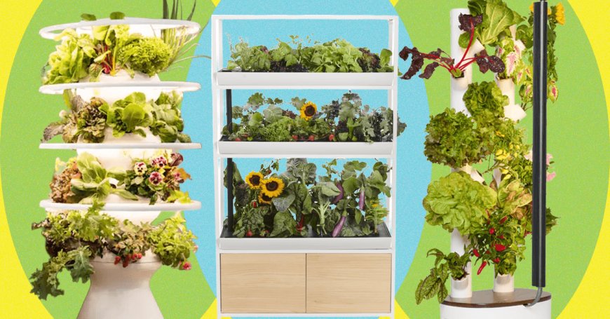 Best Indoor Garden Systems: We’ve Been Testing All Year (2026)