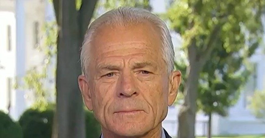 Navarro: 'It's Not Just' 'Imminent National Security Threat', Iran Has 'Terror Premium' on Oil Prices