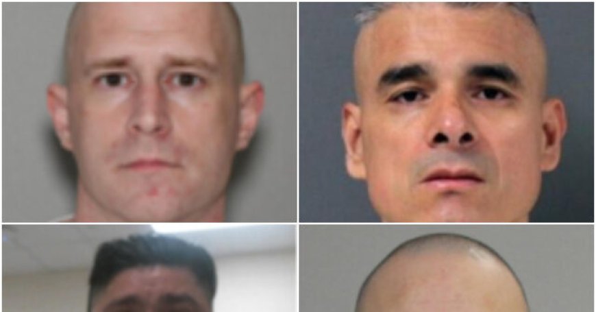 ICE: 414 Illegal Alien Child Sex Offenders Arrested in Houston During President Trump's First Year