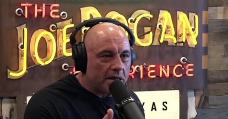 Joe Rogan: 'Ludicrous' for Rich to Pay More Taxes to 'Corrupt' Government, 'California’s Done a Terrible F**king Job Governing Their State'