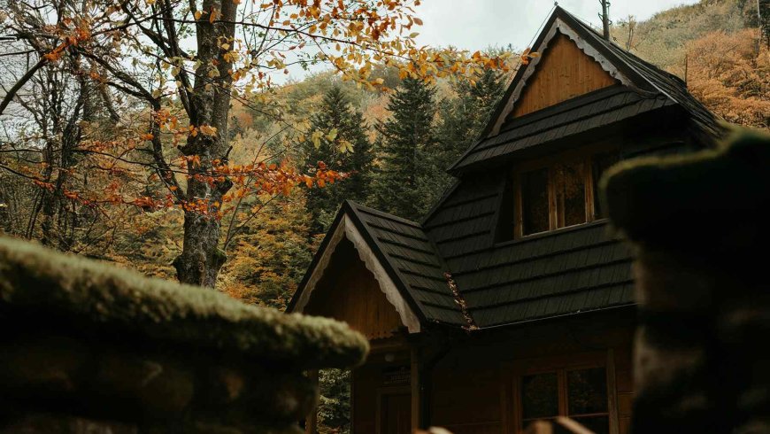 In the 1970s, an American living off-grid searched for energy beyond sun and wind — He ended up leading a powerful movement