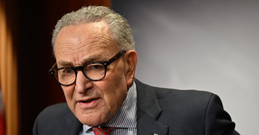 Schumer Takes Stand for 'Tens of Billions' of Illegal Aliens ICE Could Remove from Voter Rolls