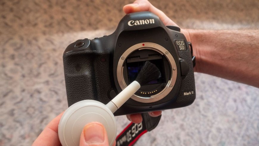 How to clean your camera's image sensor safely at home