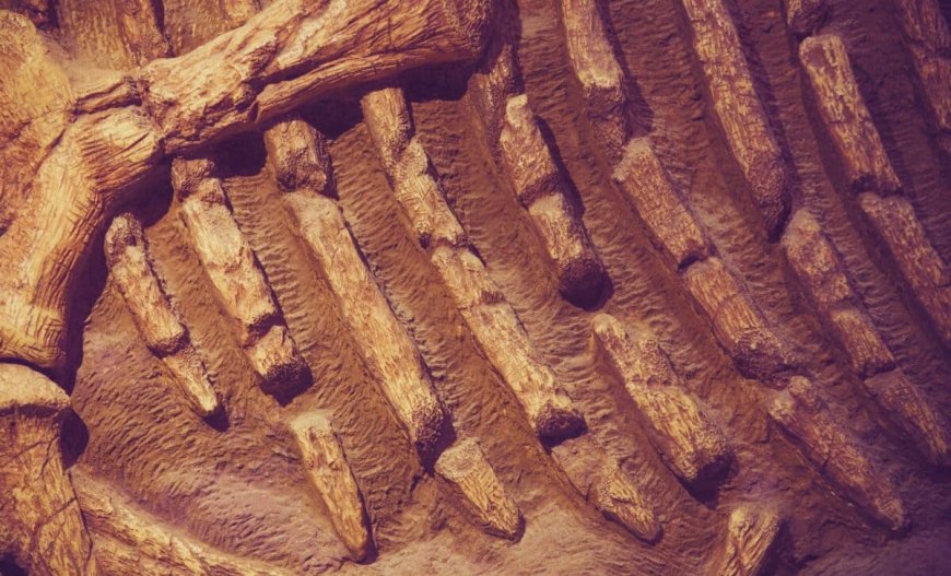 Scientists Find Hemoglobin Traces in Dinosaur Bones Once Thought Impossible to Preserve for Millions of Years