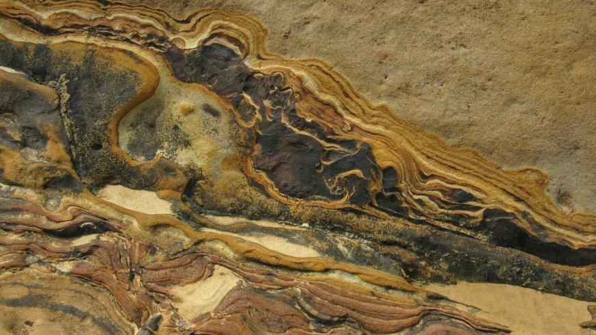 Scientists digging in the Moroccan desert thought they found ordinary fossils — Then the remains of humanity’s ancient ancestor rewrote the story of how we spread across Earth