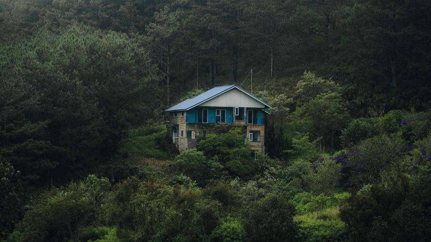 Tennessee woman left the city dreaming of freedom off-grid — Now she reveals the real cost nobody talks about