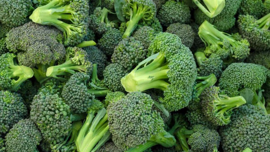 A four-month trial involving 208 men revealed that a daily capsule containing broccoli, turmeric, blueberries, and live bacteria could slow down worrying signs in the prostate