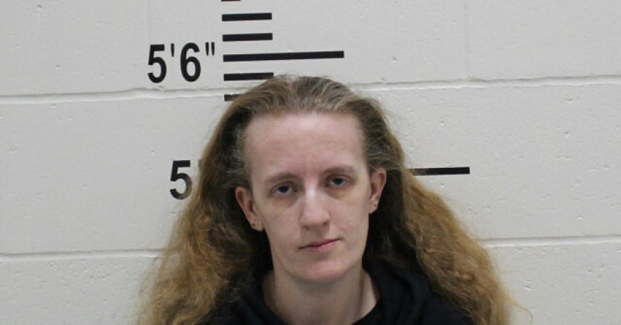 Iowa Mom Accused of Lacing Lasagna with Opioids to Try to Cause Pregnant Relative to Miscarry