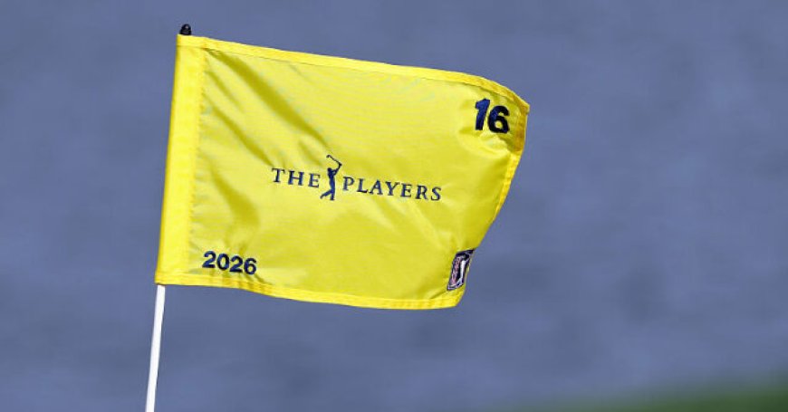 Golf Digest Laments Lack of Black Players at Players' Championship, Questions Whether Sport Is 'Doing Enough'