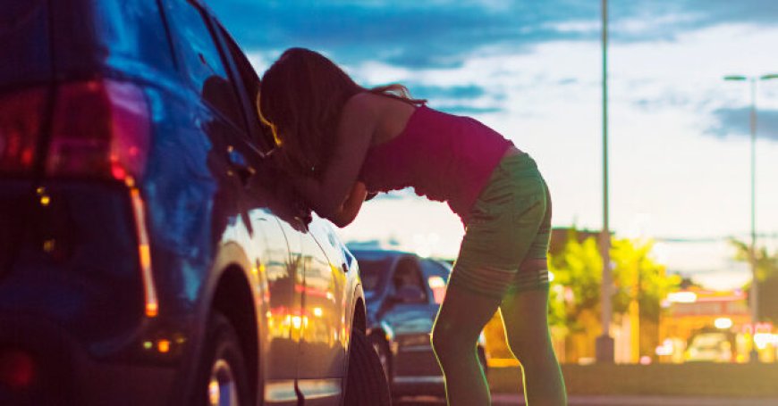 Colorado: Democrat Bill to Decriminalize Prostitution Dies amid Opposition and Lack of Support