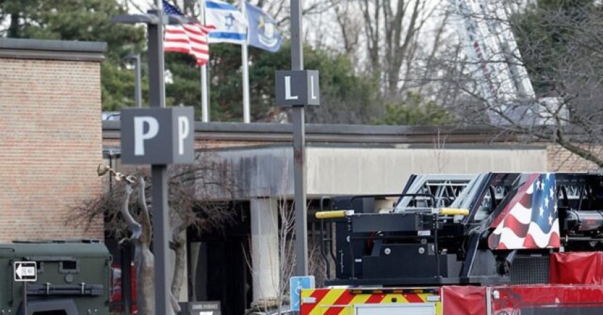 MS NOW's Sanders Townsend on Synagogue Attack: Immigrants Also Feel 'Under Attack' by Government