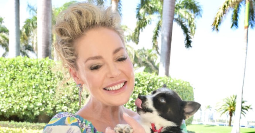 Katherine Heigl Fires Back at Fans Outraged Over Her Attendance at Mar-a-Lago Dog Rescue Event