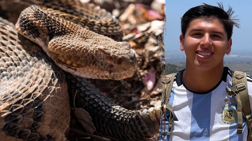 California mountain biker dies after monthlong hospital stay following rattlesnake bite