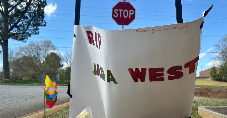 VIDEO: Georgia Girl, 12, Dies Three Days After Brutal Fight at School Bus Stop