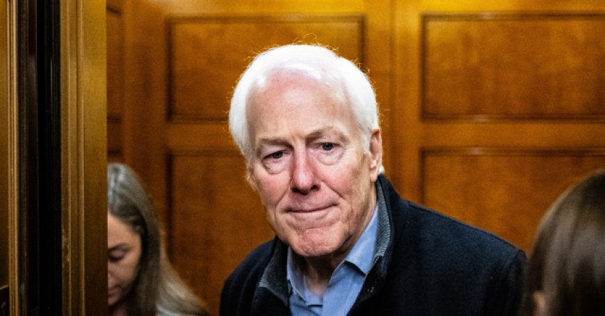 Top Cornyn Staffer Demanded Breitbart News Be 'Defrocked' from Conservative Movement, Dropped by Advertisers