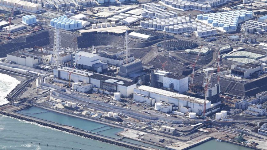 Fifteen years after the disaster, the Fukushima reactors hide a secret: scientists detect life where radiation should have prevented everything