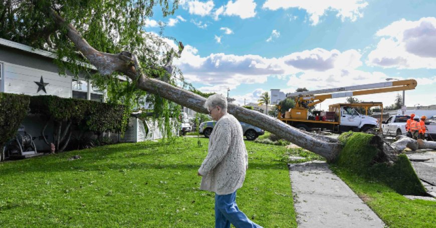 Windstorm with 100 mph Gusts Sweeps Eastward Across the U.S.