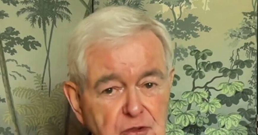 Gingrich: If Iranians Had Their Way, Threat Would Be Nuclear Weapons Taking Out a U.S. City