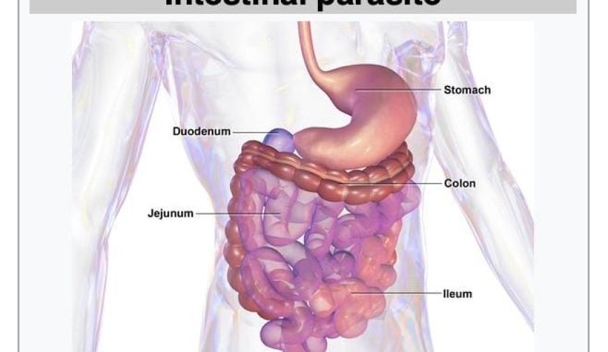 CIA Faces Furious Backlash for Hiding Russian Document Containing Potential Cure for Cancer for 60 Years