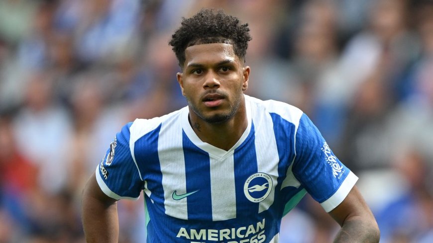 Sunderland vs Brighton Live Streams: How to watch Premier League 2025-26 from anywhere in the world