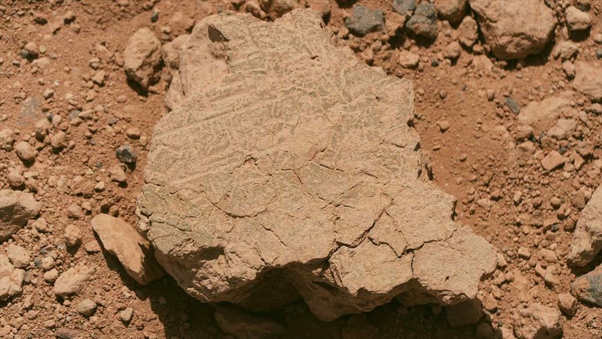 We’ve always believed humans were born in Africa — Now archaeologists have found a new clue 5,060 miles away