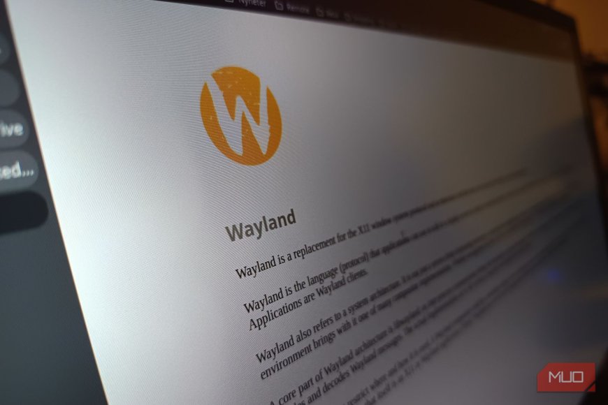 I switched to Wayland and immediately found the rough edges